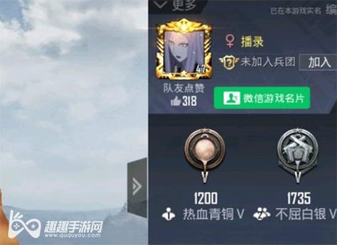 和平精英辅助市场：不法交易的暗流